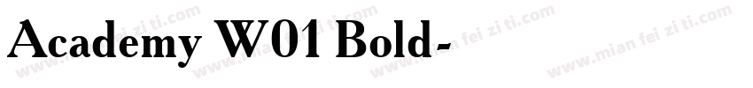 Academy W01 Bold字体转换